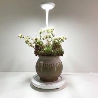 EVA desk grow light