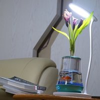 EVA desk grow light