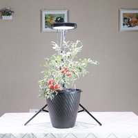Abel Growlight 80W