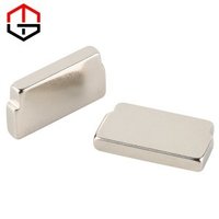 SHAPED SQUARE NEODYMIUM IRON BORON MAGNET