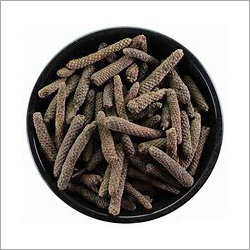 Long Pepper