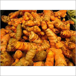 Fresh Turmeric Root