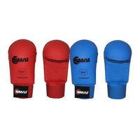Karate Gloves