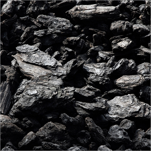 Non Oily Coal
