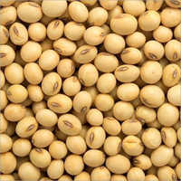 Natural Soyabean Natural Soyabean