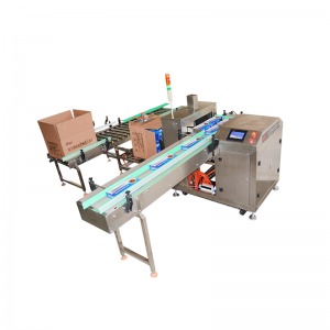 ZH-90 Type Carton Packing Machine for Box ZH-90 Type Carton Packing Machine for Box
