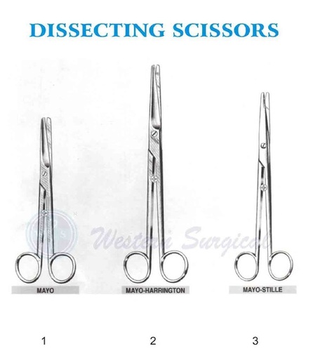 Surgical Stainless Steel Dissecting Scissors