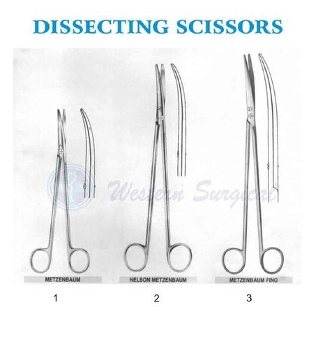 Dissecting Scissors