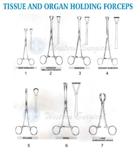 Tissue And Organ Holding Forcep