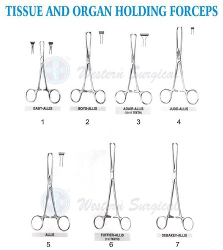 Tissue And Organ Holding Forcep