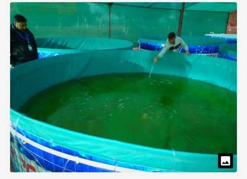 Fish Farming Tank