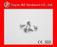 truss head self tapping screw
