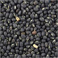 Whole Urad Dal By ETS TRADEX SERVICES LLP