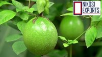 Natural Organic Sweet Passion Fruit