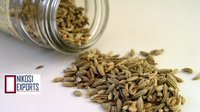 FENNEL SPICE
