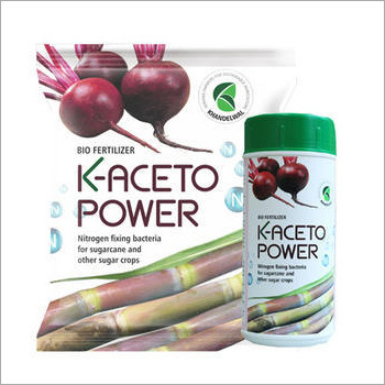 Nitrogen Fixing Bacteria Fertilizer