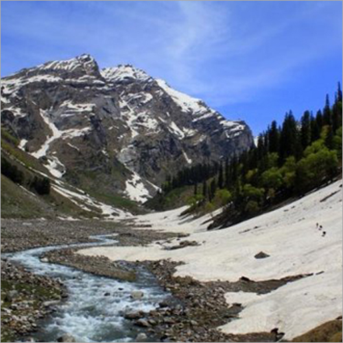 Manali Group Tour Services By WESTERN HIMALAYAN HOLIDAYS