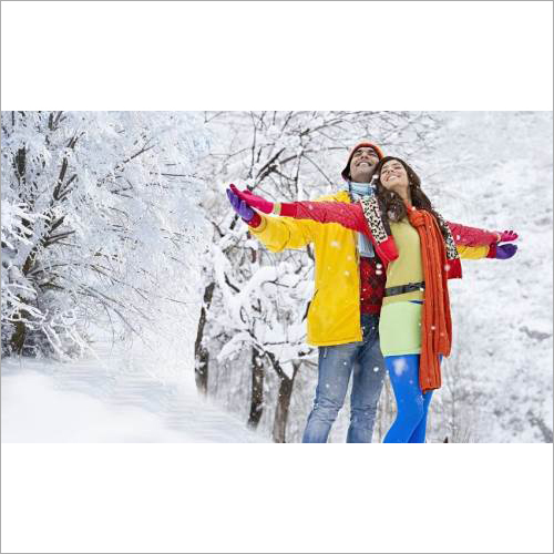 Shimla Honeymoon Package Services