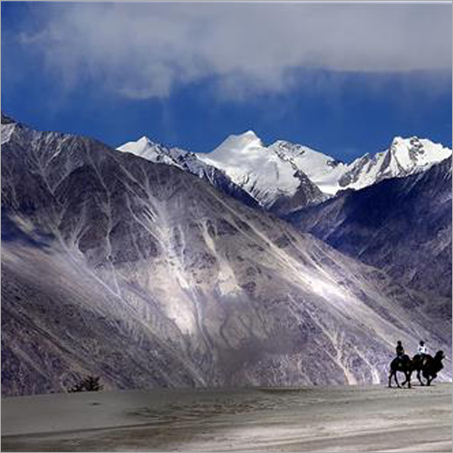 Exotic Manali Honeymoon Package Services