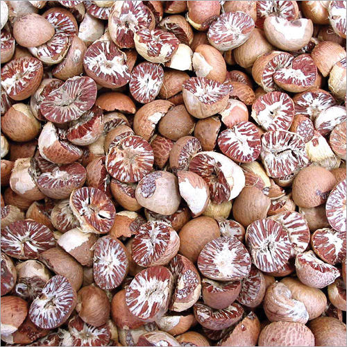 Common Pure Betel Nut