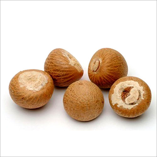 Common Fresher Betel Nut