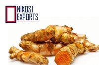 Raw Turmeric - Curcuma Longa Rhizomes, A-grade Yellow Color, 6 Months Shelf Life