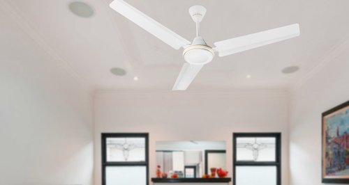 Ceiling Fans
