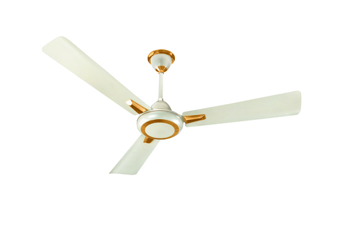 Decorative Ceiling Fan