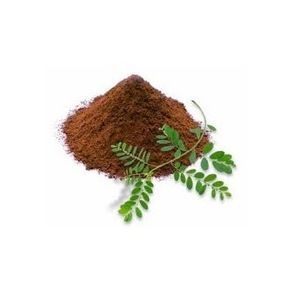 Phyllanthus Fraternus Herbal Powder