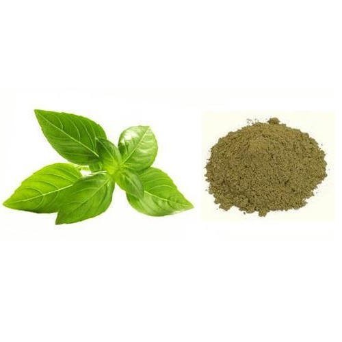 ocimun sanctum herbal powder