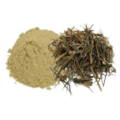 swertia chirayita herbal powder