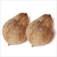 Coconut