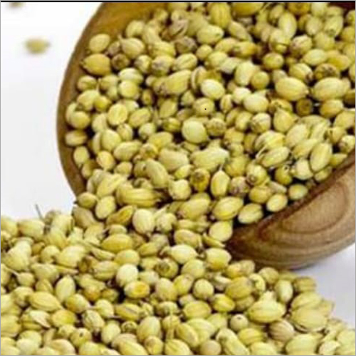 Coriander Seeds - 100% Pure, Herbs Seeds, 6 Months Shelf Life | Other Variety, Versatile Culinary Ingredient