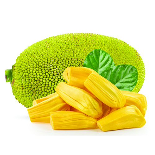 Jack Fruit