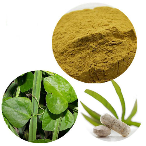 cissus quadrangulari herbal powder