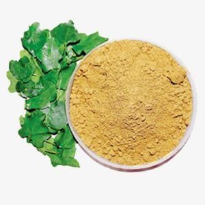 solanum trilobatum herbal powder