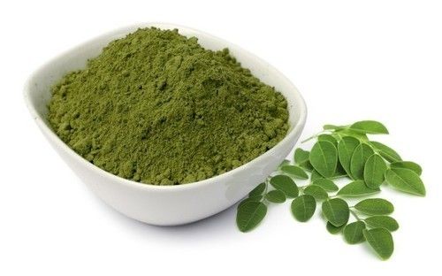 moringa olefera leaf herbal powder