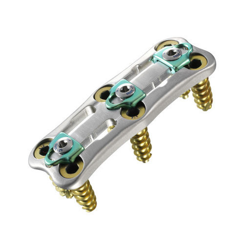 Pedicle Screws