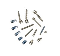 Spinal Screws