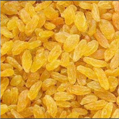 Common Dry Yellow Raisins