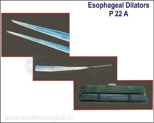 Esophageal Dilators