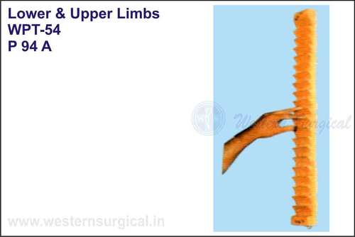 P 94 A Lower and Upper Limbs