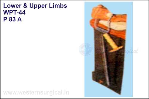 P 83 A Lower and Upper Limbs