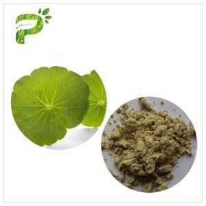 centella asiatica herbal powder