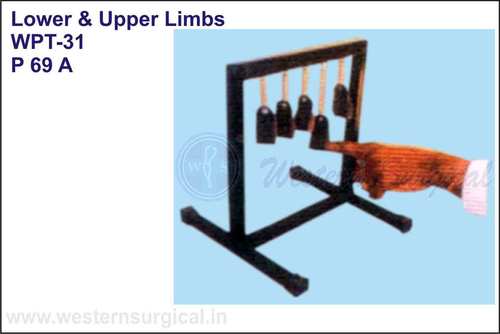 P 69 A Lower and Upper Limbs