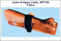 P 65 A Lower And Upper Limbs - Natural Wood, Lightweight, Portable Model | Manual Operation, Reinforced Durability, Ideal For Educational Use