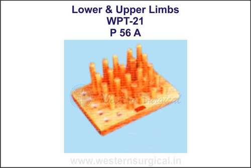 P 56 A Lower and Upper Limbs