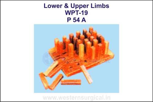 P 54 A Lower and Upper Limbs