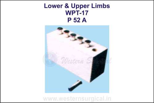 Lower & Upper Limbs Lower & Upper Limbs
