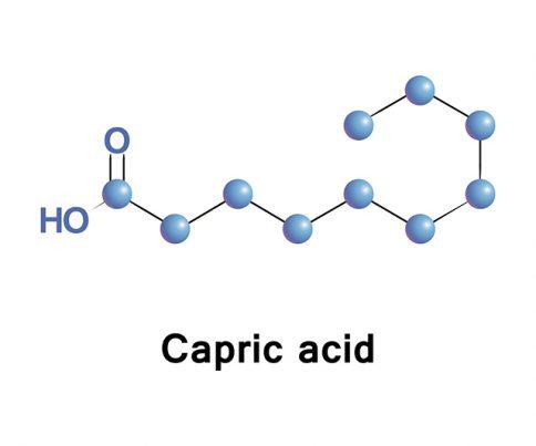 Capric  Acid